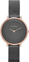Женские часы Skagen Mesh SKW2277 Наручные часы