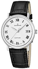 Мужские часы Candino Classic C4487/4 Наручные часы